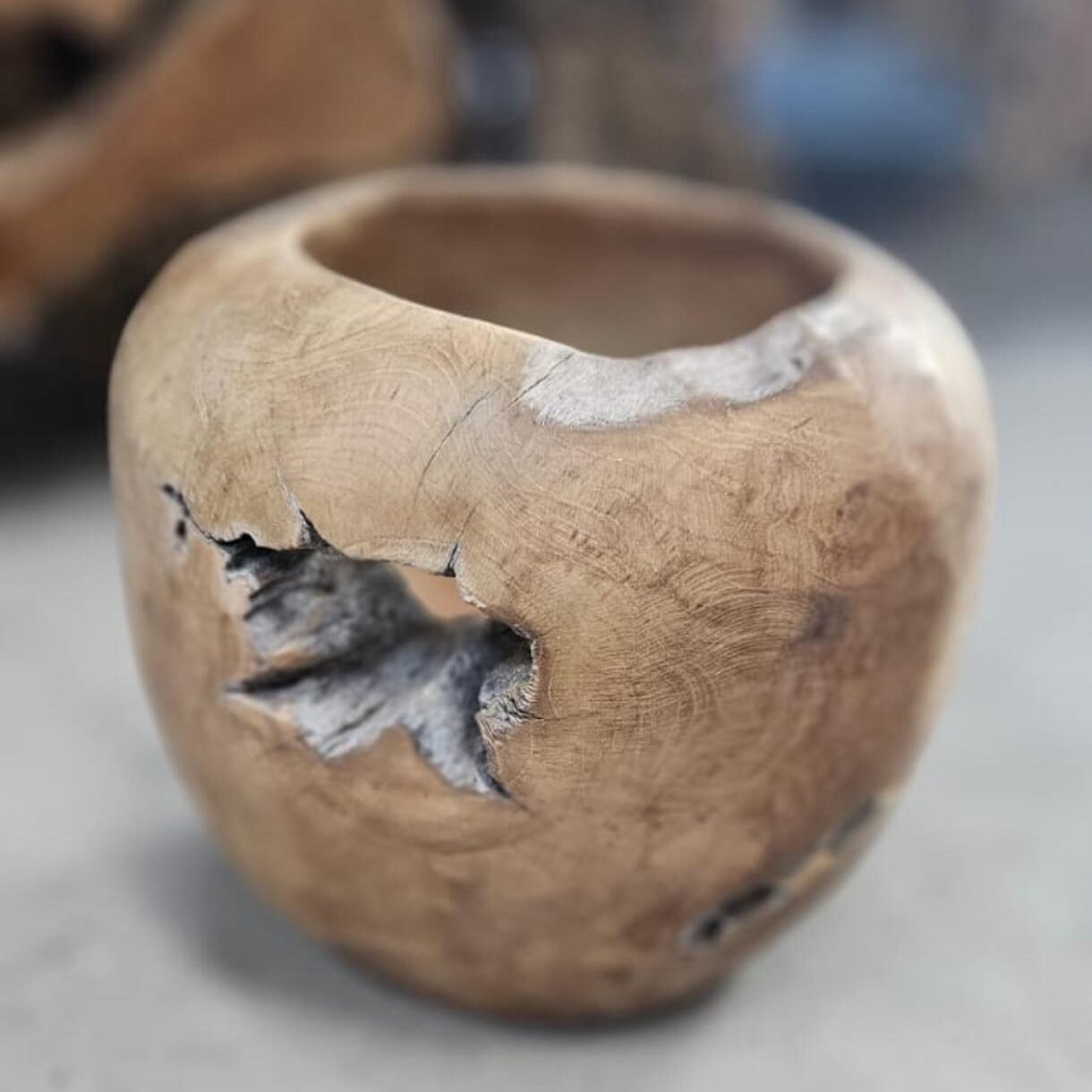 WhatsApp Image 2025-03-17 at 12.13.44 (15) POT-M MARGARITA - Imagen 1